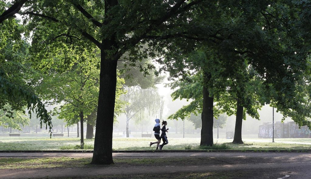 People running through a tree-lined park as part of a healthy lifestyle